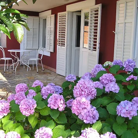 La Casa Di Elisa 3*